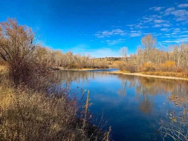 Middleton-Idaho - Beeline Pest Control