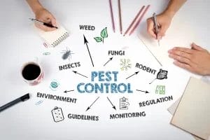 Pest Control Regulations - Beeline Pest Control