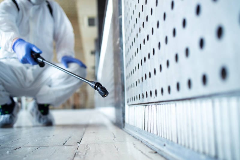 Pest Control Technician Spraying Spiders