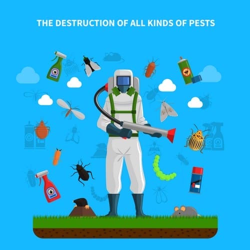 Pest control concept with insects exterminator silhouette flat vector illustration