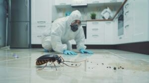 Pest control technician in a protective suit is inspecting a large insect in a modern kitchen environment