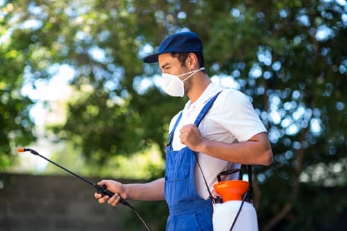 worker-using-sprayer